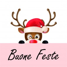 Vetrofania renna buone feste